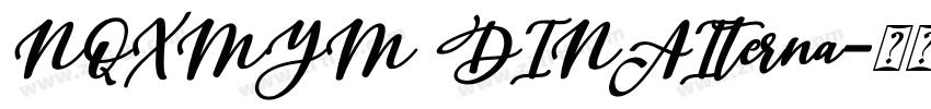 NQXMYM DINAIterna字体转换